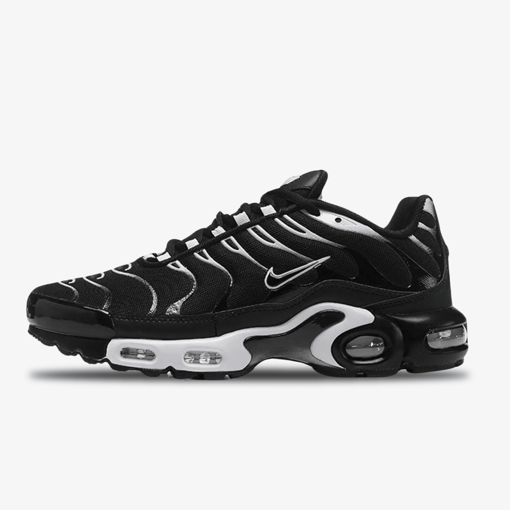 NIKE AIR MAX PLUS BLACK FROST