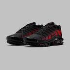 NIKE AIR MAX PLUS GRADIENT BRED