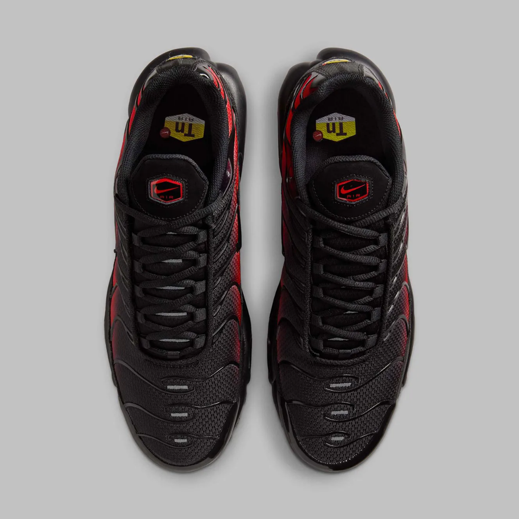 NIKE AIR MAX PLUS GRADIENT BRED