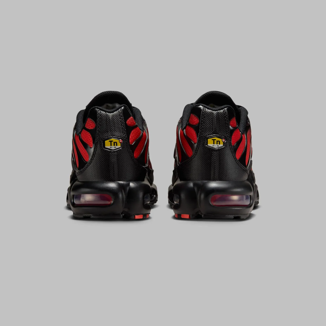 NIKE AIR MAX PLUS GRADIENT BRED