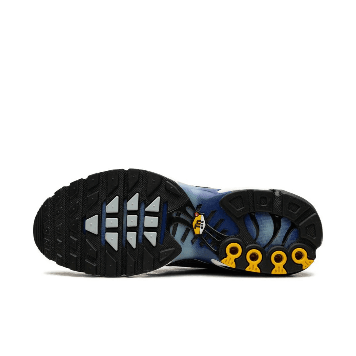 NIKE AIR MAX PLUS GRAY BLUE