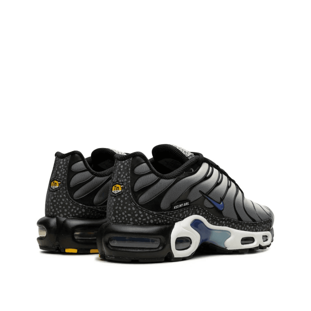 NIKE AIR MAX PLUS GRAY BLUE