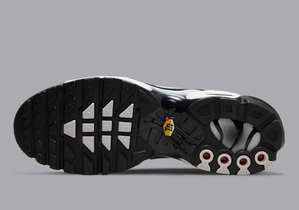 NIKE AIR MAX PLUS BLACK SILVER