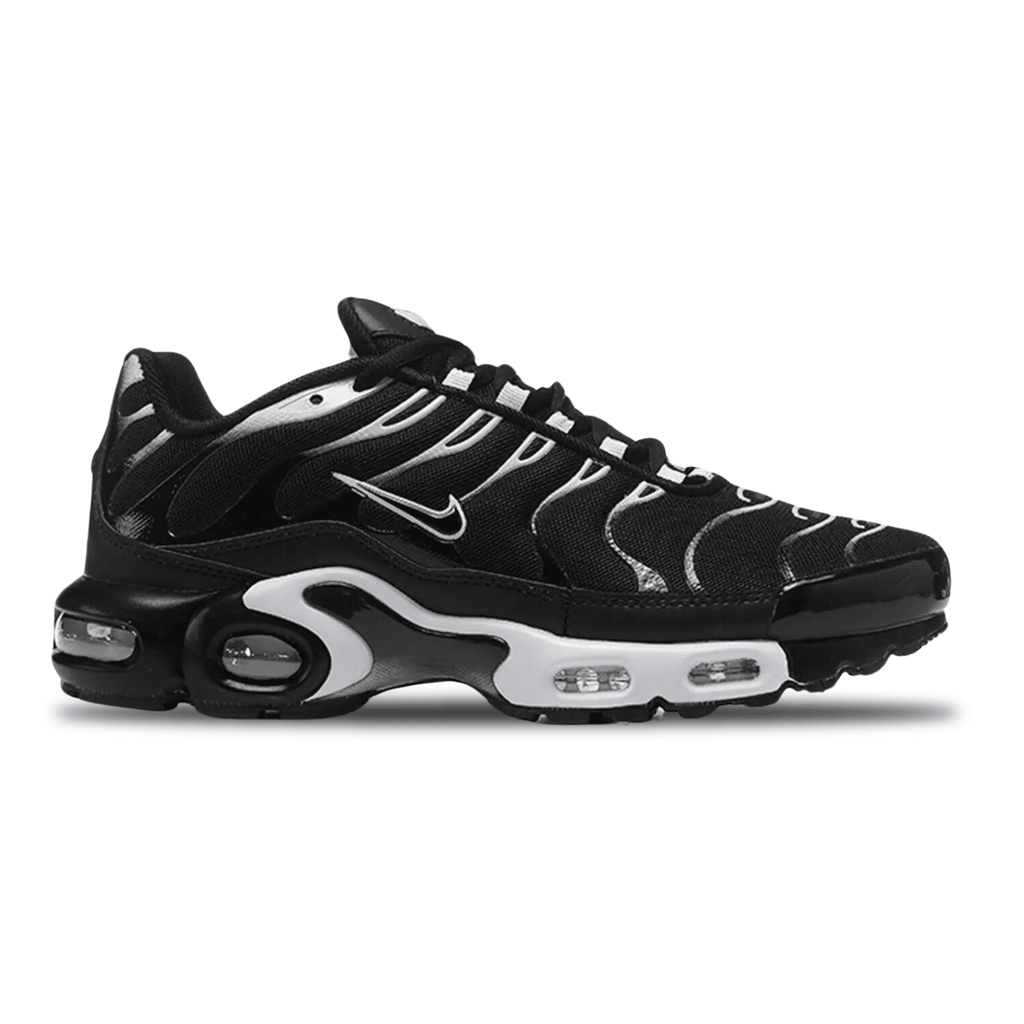 NIKE AIR MAX PLUS BLACK FROST